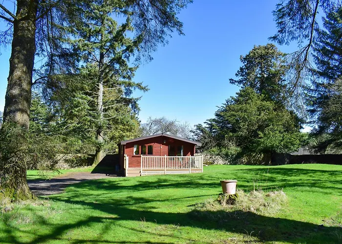 Secluded Pine Lodge 2