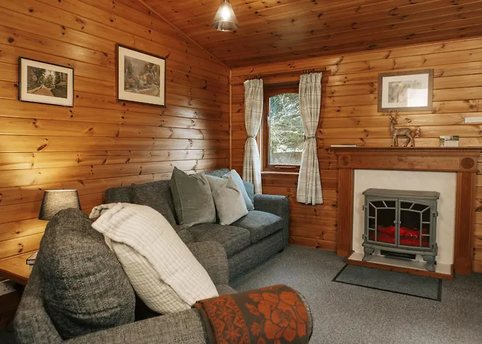 Secluded Pine Lodge 2
