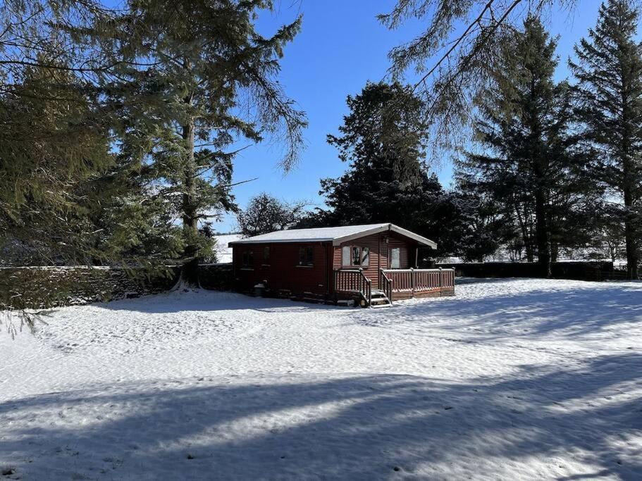 Secluded Pine 2 Wigton