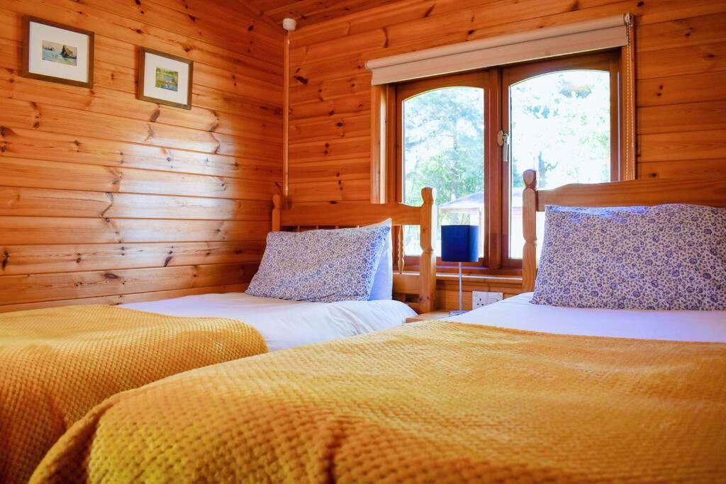 Secluded Pine 2 *