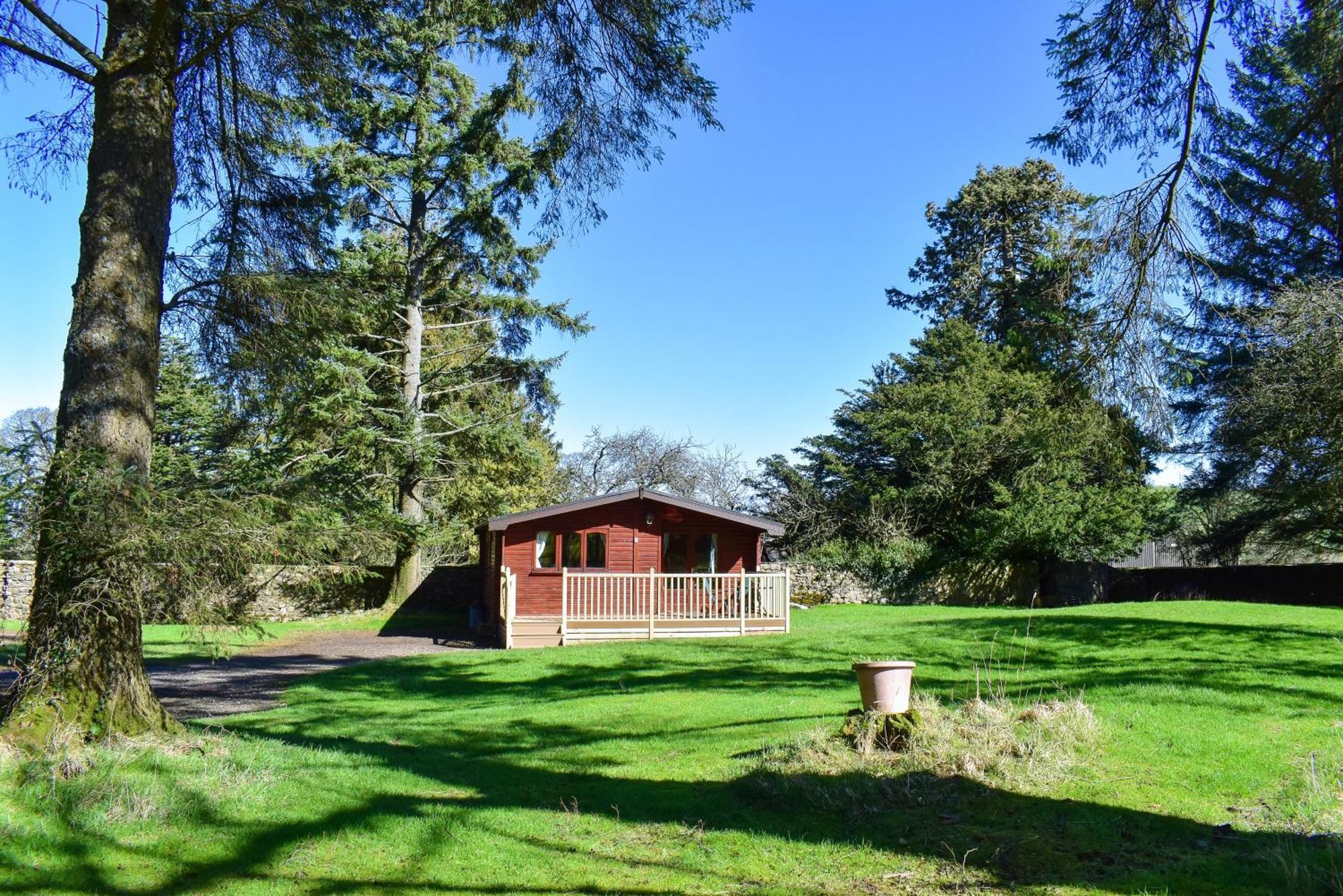 Secluded Pine 2 * Wigton