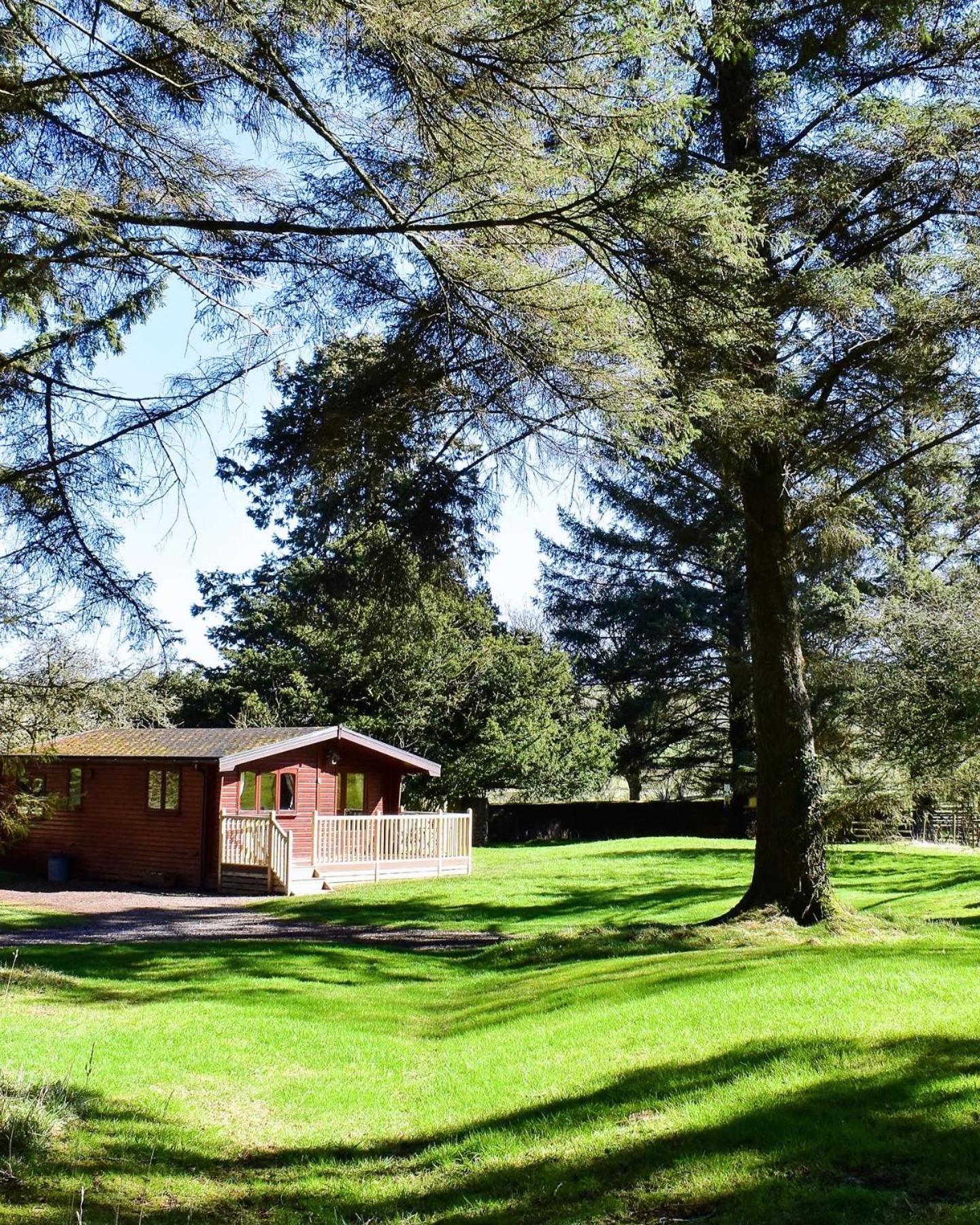 Secluded Pine 2 Wigton